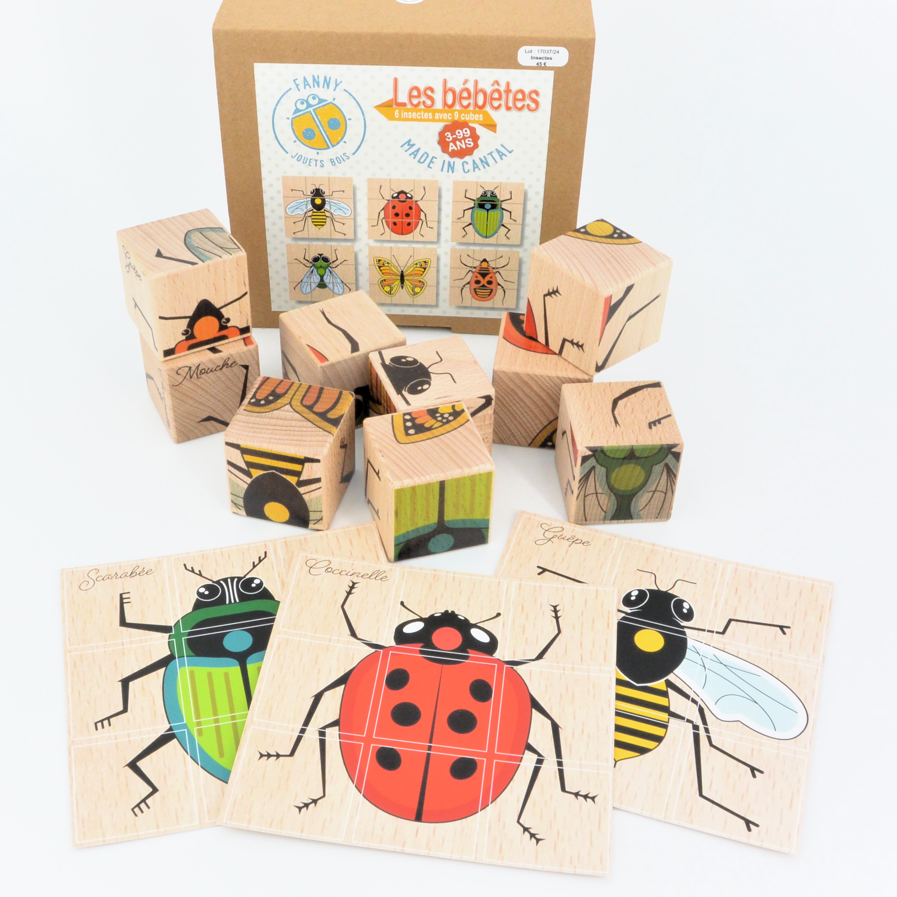 Jouets Fanny Bois |  - Cubes 6 Insectes