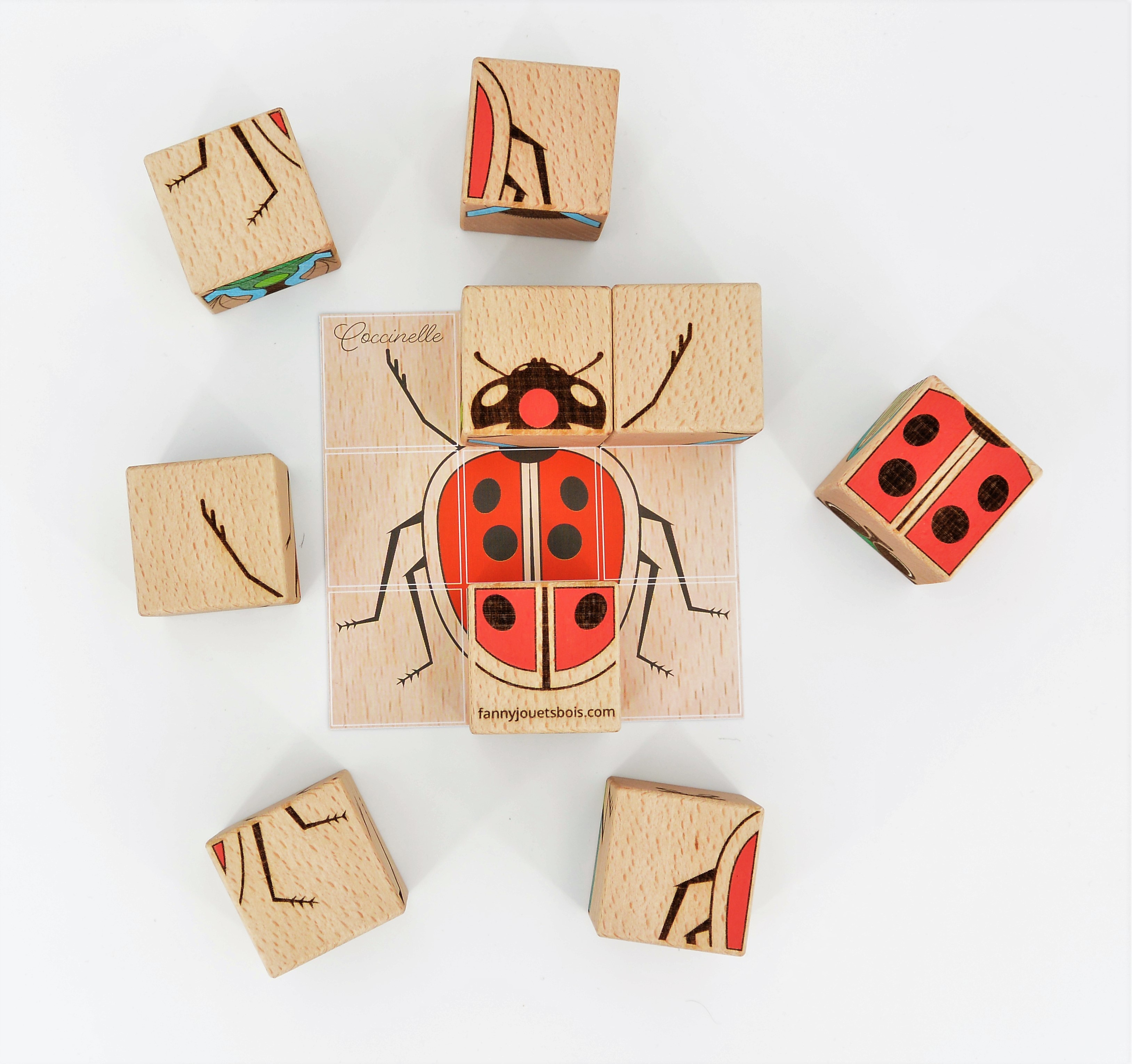 Jouets Fanny Bois |  - Cubes 6 Insectes